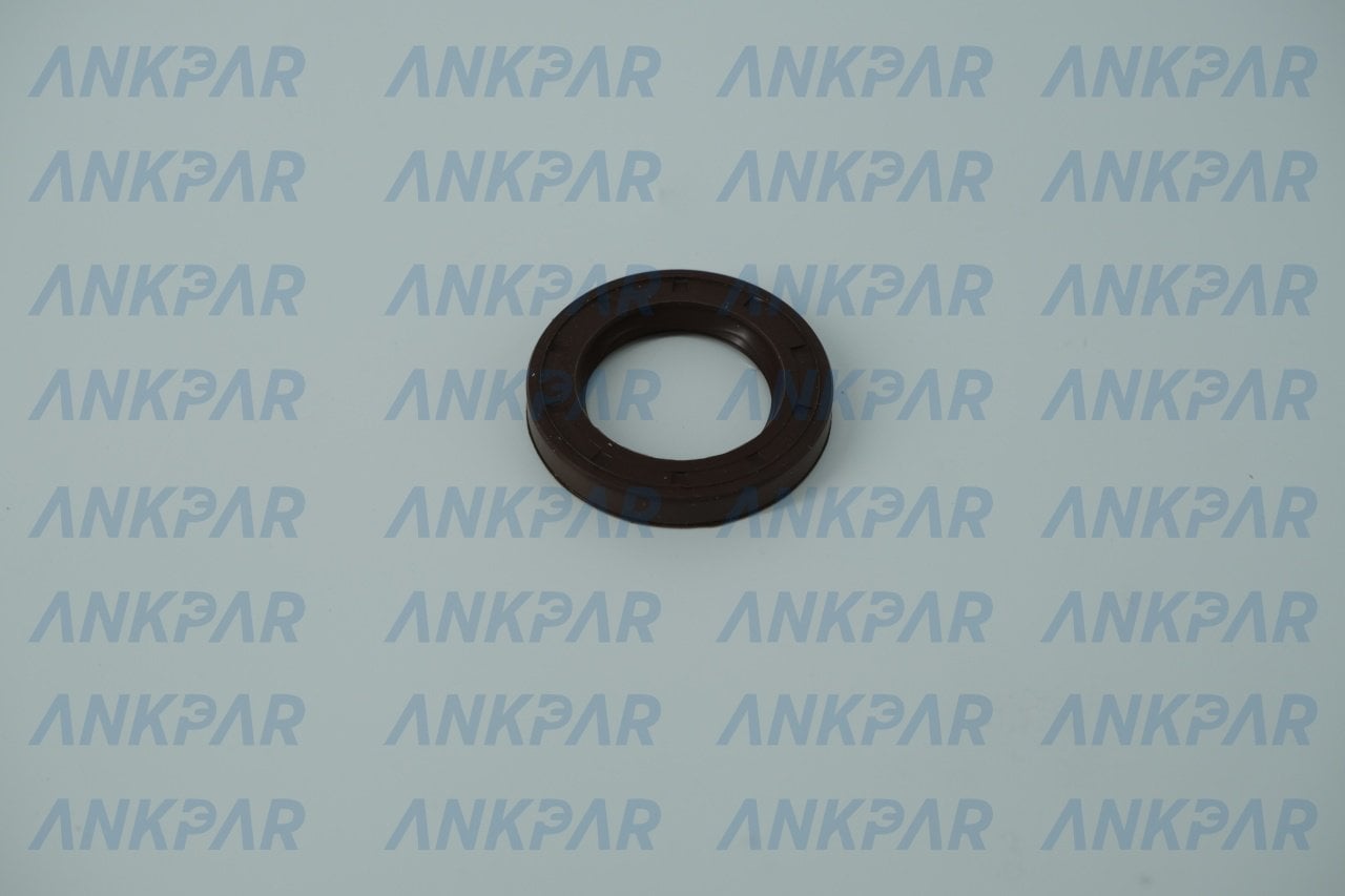 EKSANTİRİK KEÇESİ ARKA