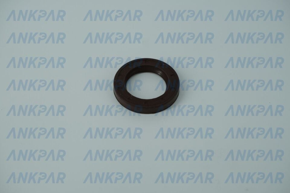 EKSANTİRİK KEÇESİ ARKA